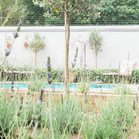 Olive Tree Lodge Парл Экстерьер фото