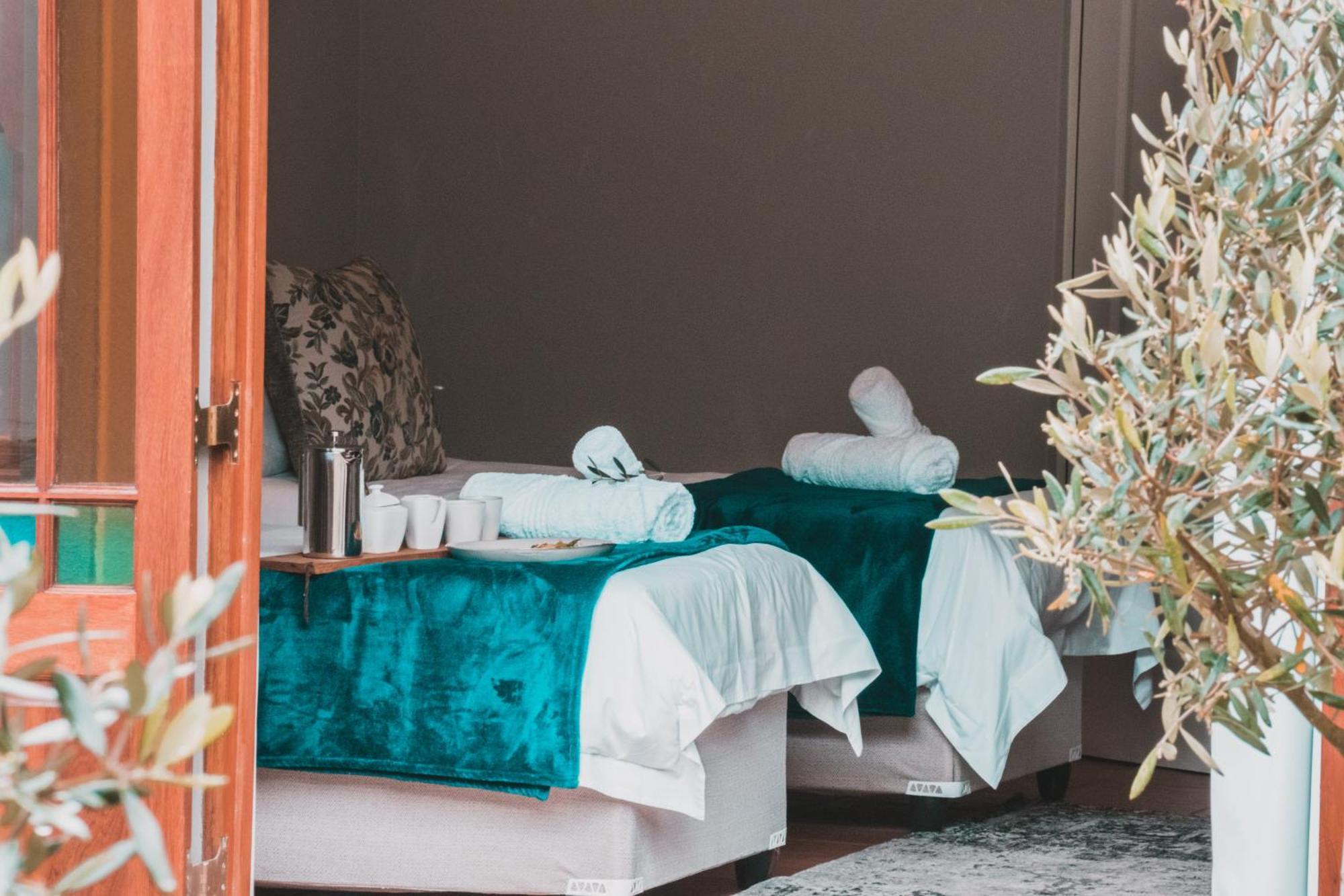 Olive Tree Lodge Парл Экстерьер фото