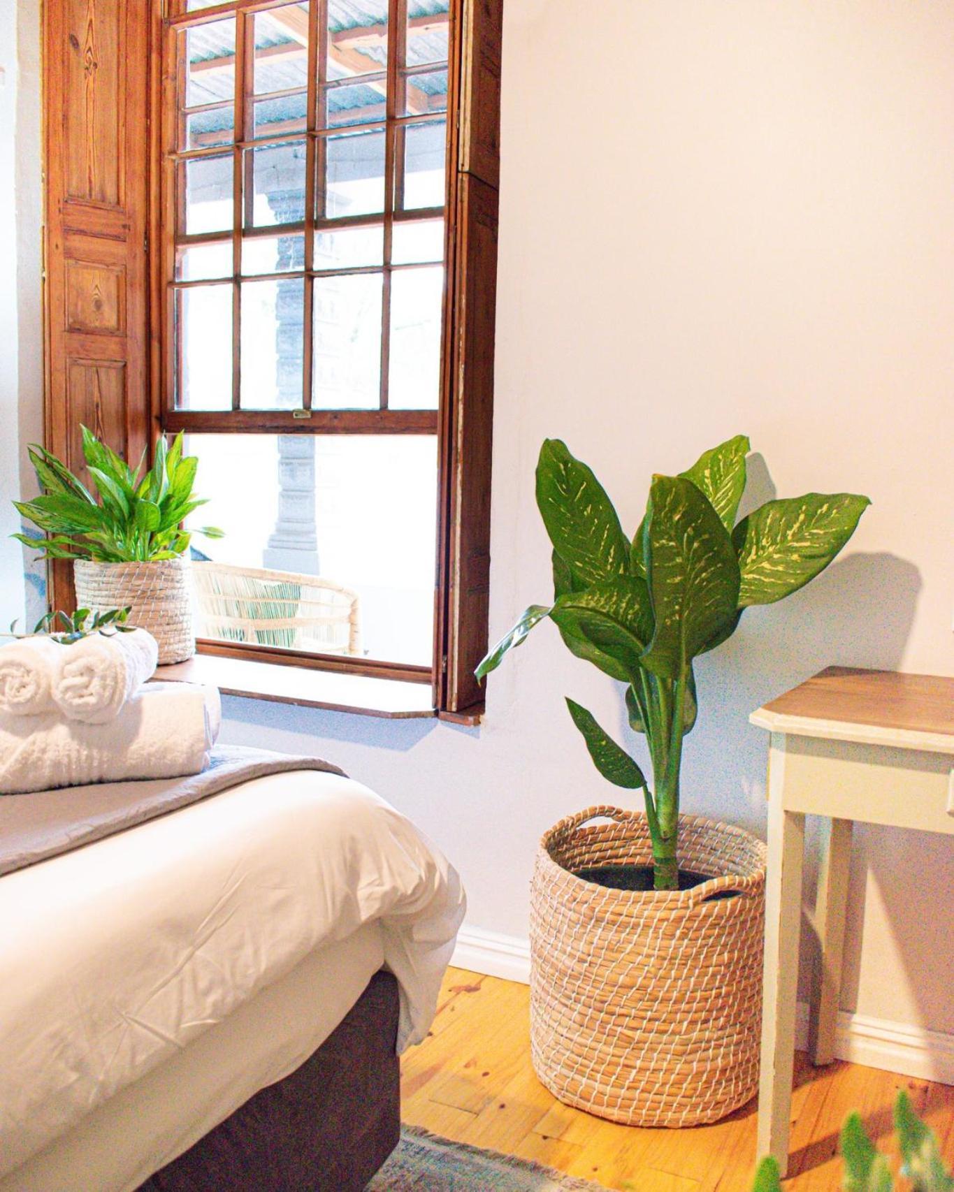 Olive Tree Lodge Парл Экстерьер фото